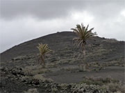 Nationalpark Timanfaya